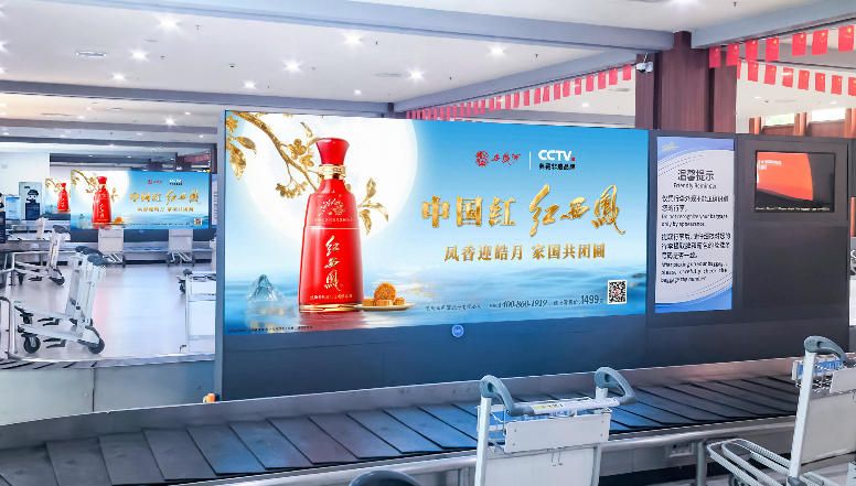 Sanya Phoenix International Airport T1 T2 Domestic Arrivals Baggage LED