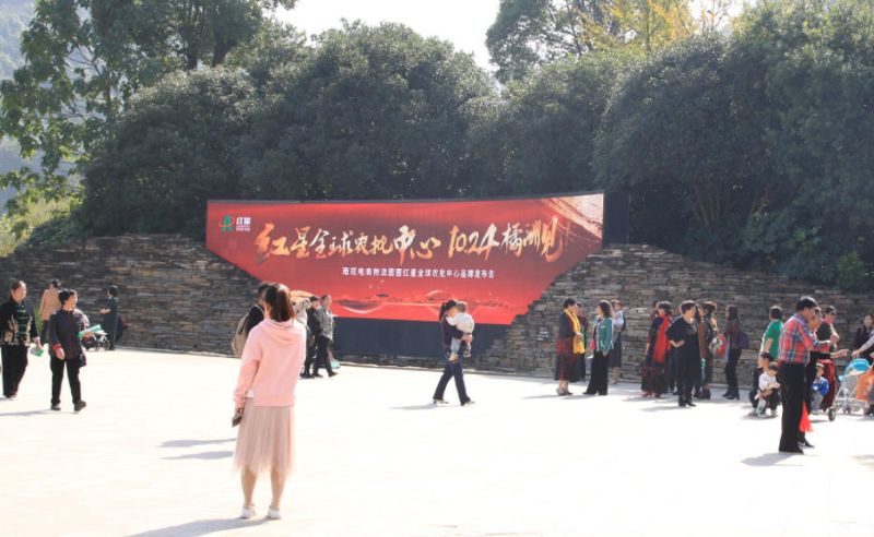 长沙梅溪湖桃花岭公园入口LED