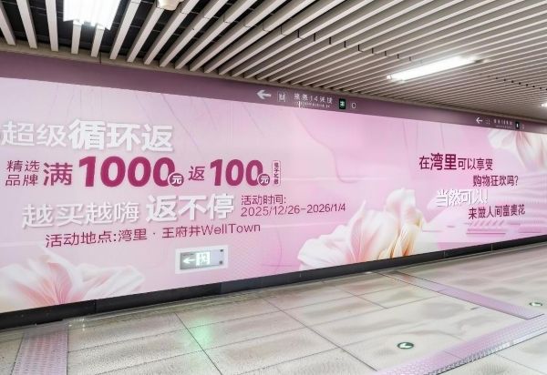 Wall Decals on the North Wall of Concourse, Haojiafu Station, Beijing Metro Line 6