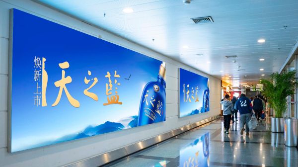 厦门高崎国际机场二层国内值机区灯箱