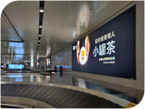 长春龙嘉机场T2一层行李厅墙体灯箱