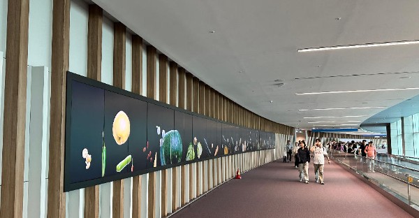 Incheon International Airport Terminal 2 Arrival Area Airside LED