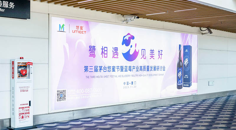 厦门高崎国际机场国内到达区墙面灯箱