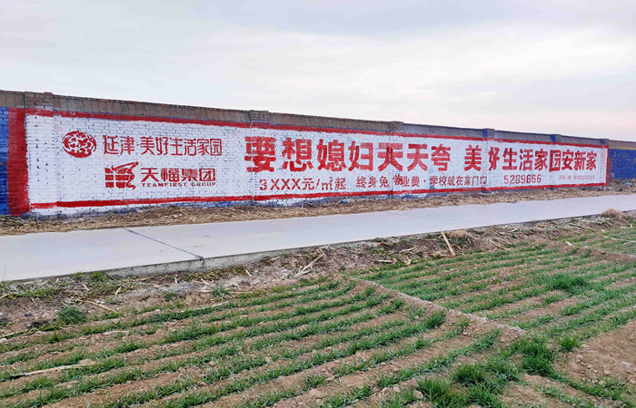 Beyond the Surface: Decoding Compliance Policies for Wall Advertising in 2025