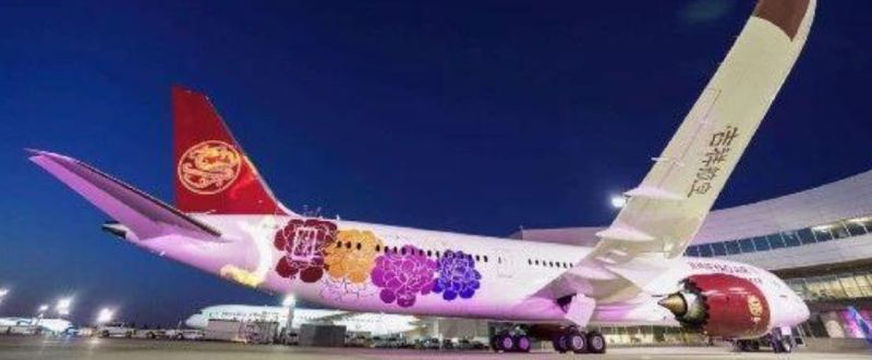 Juneyao Airlines aircraft cabin headrest towel advertisement