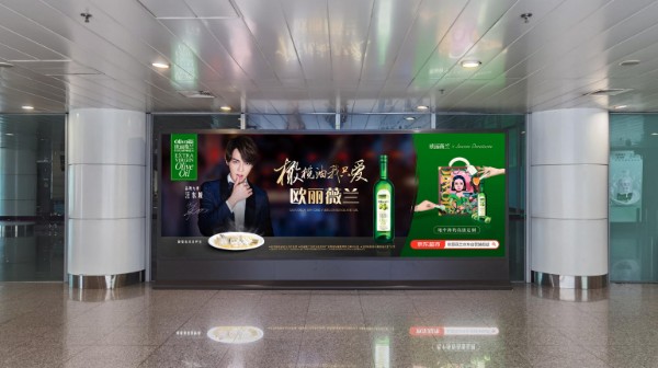 Shenyang Taoxian International Airport T3 Domestic Arrival Central Corridor Lightbox