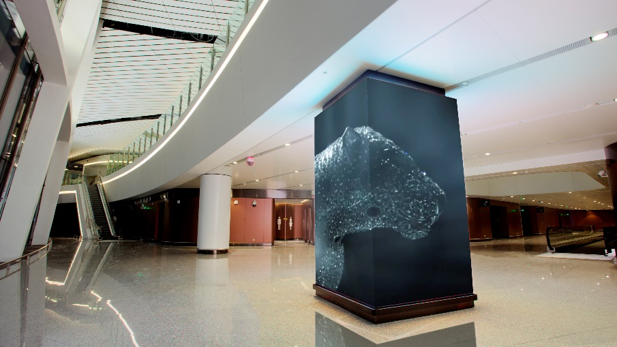 大兴机场户外大屏广告核心位置详解与受众触达分析