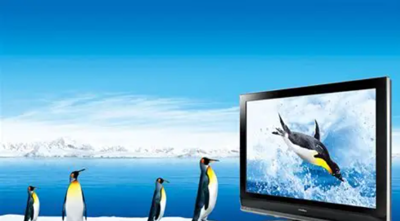 电视广告分为几种？从传统TV到OTT，一文看懂全部形式