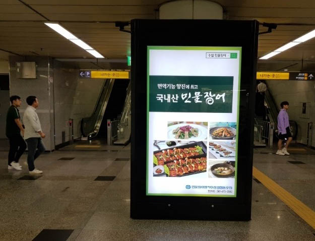 韩国地铁蚕室8号线立柱灯箱