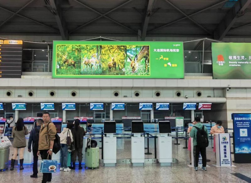 大连周水子机场二层国内出发值机厅灯箱