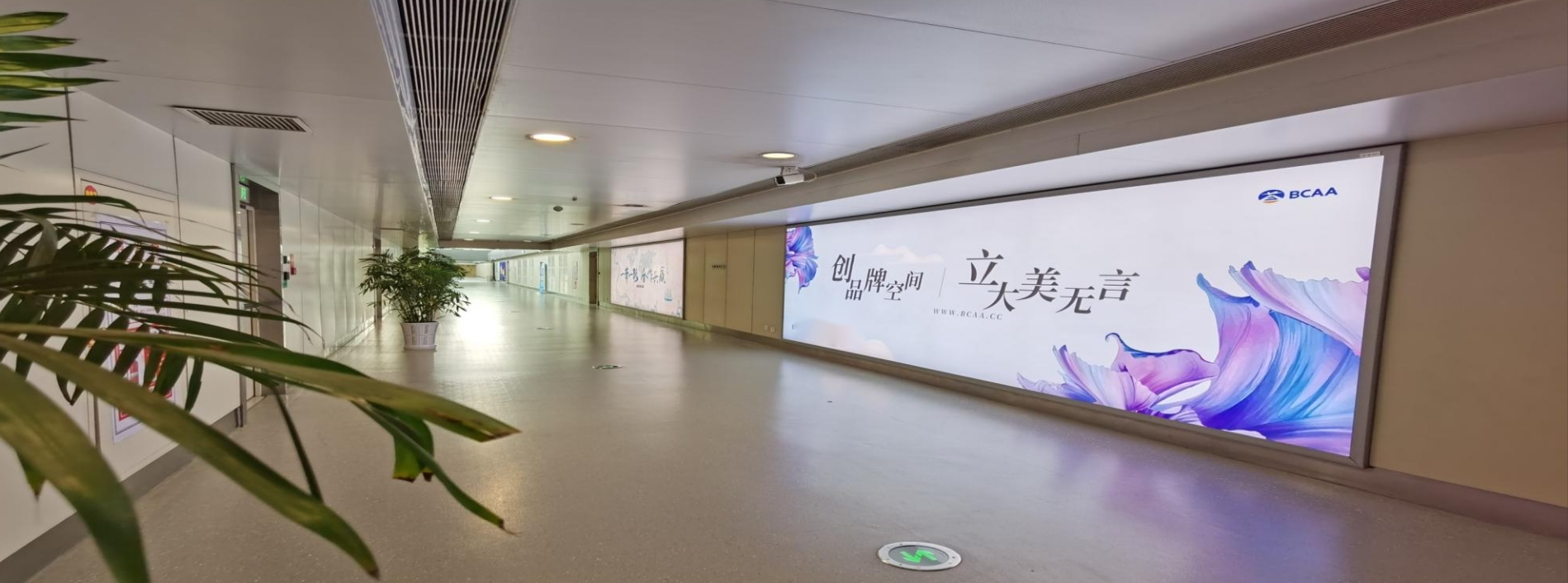 兰州中川机场T2国内到达通廊墙面灯箱
