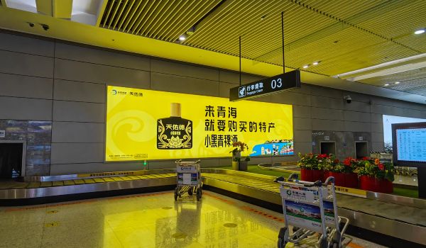 西宁曹家堡国际机场T2行李厅北侧灯箱