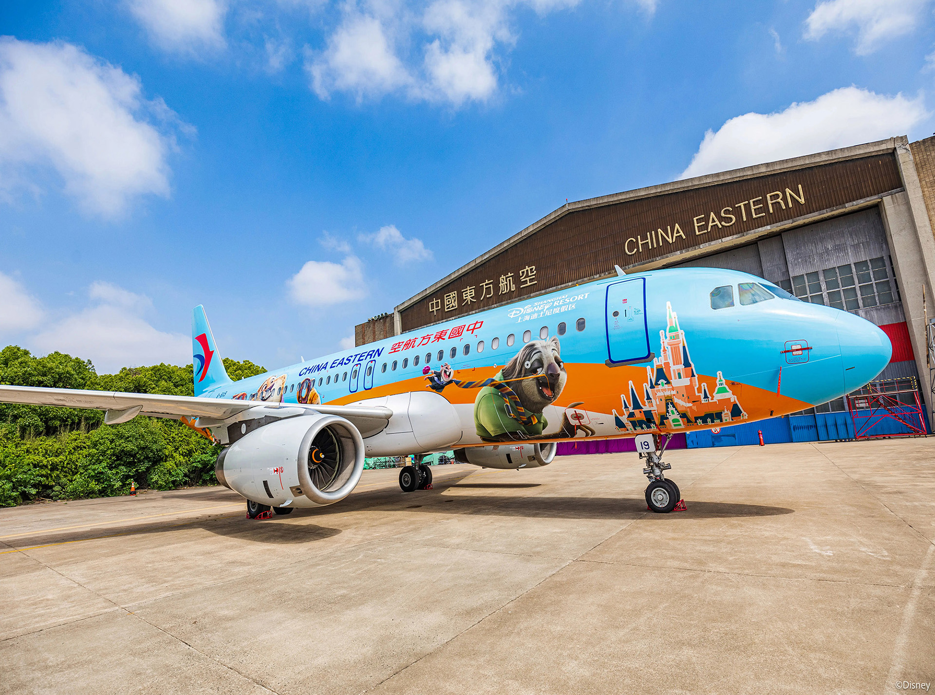 3 million+airline travel data assets